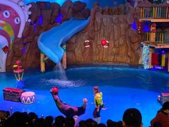 -烟台海昌鲸鲨海洋公园