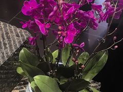 -黔蘑菇四季餐厅(观山湖店)