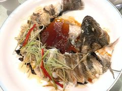 -博雅渔港·融合菜(维也纳国际大酒店)