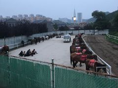 -鼎盛王朝康熙大典实景演出