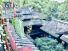 -鱼桥巷·美学川菜