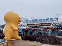 -海合安武汉极地海洋公园