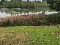 -白鹭湾湿地公园