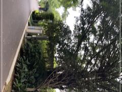 -南宁南湖公园