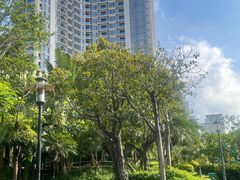 -三亚凤凰水城凯莱度假酒店