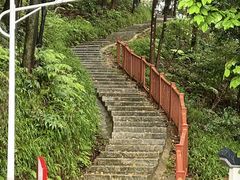 -黄埔油麻山森林公园