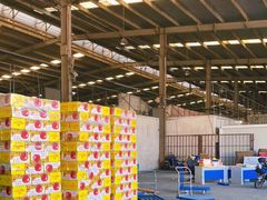 -上海龙吴水胜海发市场