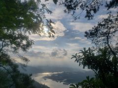 -铁山坪森林公园