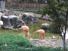 -昆明动物园
