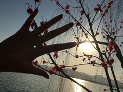 -西湖天地