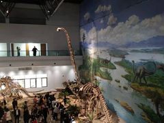 -自贡恐龙博物馆