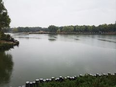 -大兴滨河森林公园