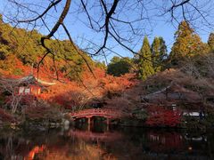 -醍醐寺