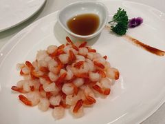 -蝶园·装修中(BFC外滩金融中心店)
