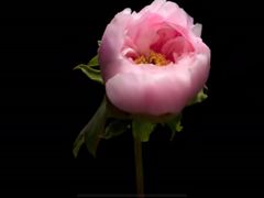 -回龙观体育文化公园