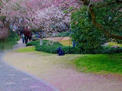 -杭州植物园