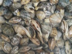 -宾朋海鲜特色美食餐厅·纯手工鲅鱼水饺(兴海路店)