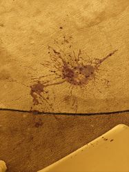 -华侨城洲际大酒店·宴会厅