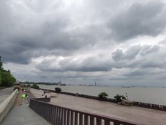 -上海滨江森林公园