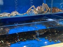 -T11生鲜超市(朝阳公园店)