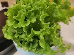 生菜叶-韩时烤肉(枫蓝店)