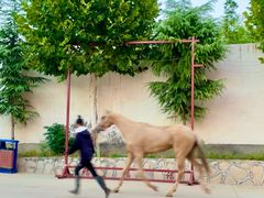 -洛阳马蹄泉旅游度假村