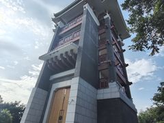 -王借岗森林公园
