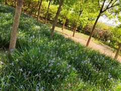 -天津东丽湖风景区