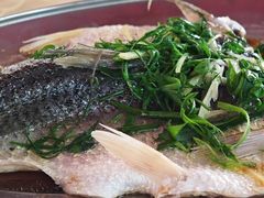 -南沙辉记烧鸡·荔枝木炭火吊烧(旧镇店)