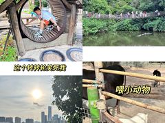 -青青世界