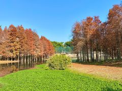 -厦门园林博览苑