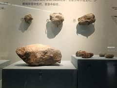 -湖南省地质博物馆