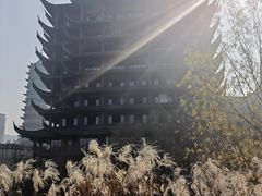 -长兴太湖图影湿地文化园