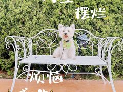 -东湖177艺术餐厅 · 东坡院子