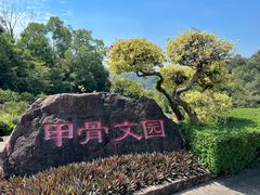 -广州莲花山旅游区