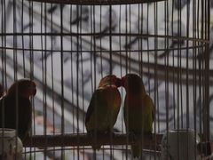 -鱼桥巷·美学川菜