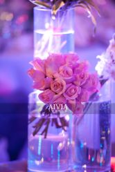点击看大图 -花屿迷鹿写真馆