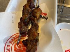 -鼎原力量东北吊炉烧烤(临河街店)