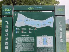 -飞来湖湿地公园