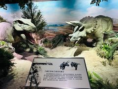 -国家自然博物馆