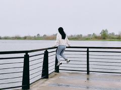 -合肥滨湖国家森林公园