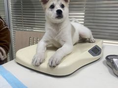 -美美宠物诊疗中心·异宠·骨科(滨江东信分院)