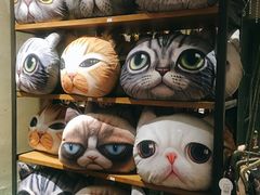 -猫咪博物馆(顶澳仔猫街店)