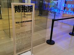 -金茂览秀城