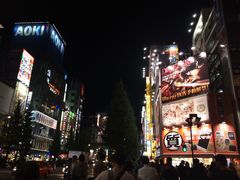 -秋叶原电器街