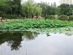 -前关湿地公园