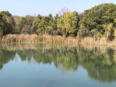 -艾溪湖湿地公园