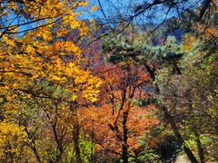 -阳台山自然风景区