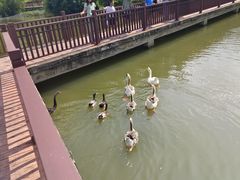 -厦门悦华酒店