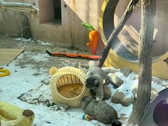 -青藏高原野生动物园